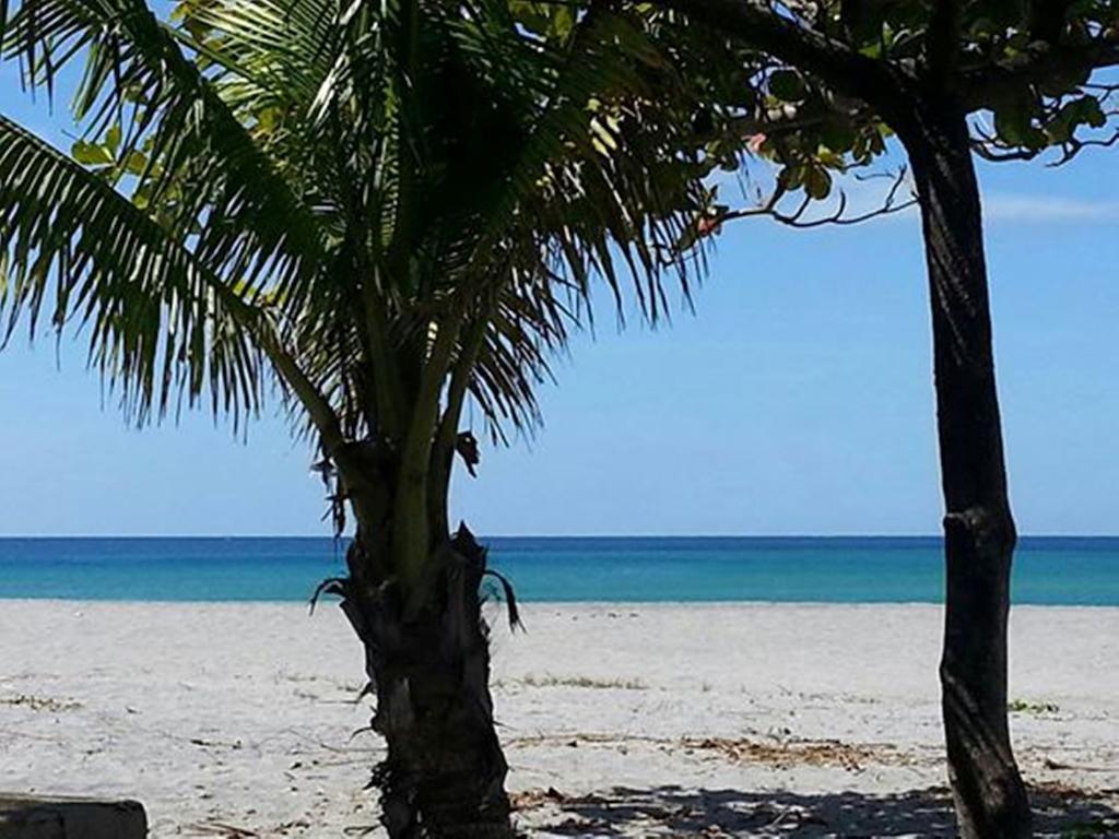 Rama International Beach Resort Botolan Exteriör bild